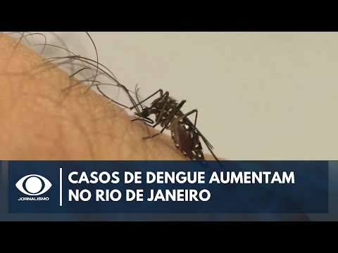 Rio de Janeiro registra 2 mil casos de dengue em 24h