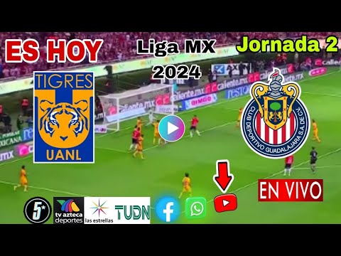 Tigres vs. Chivas en vivo, donde ver, a que hora juega Tigres vs. Chivas Liga MX 2024