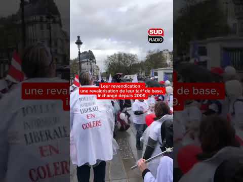 Les infirmiers libéraux mobilisés à Paris