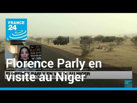 Florence Parly en visite au Niger pour discuter de l'évolution de Barkhane • FRANCE 24