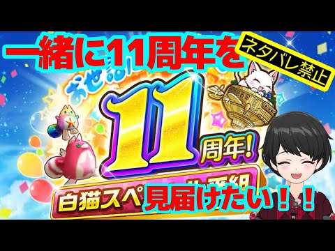 【白猫プロジェクト】11周年おせニャンを一緒に見よう！！【ネタバレ禁止】