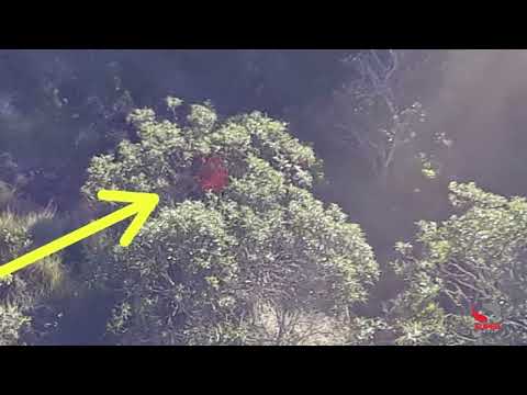 Homem cai de paraglider na Serra da Mantiqueira, em Minas Gerais