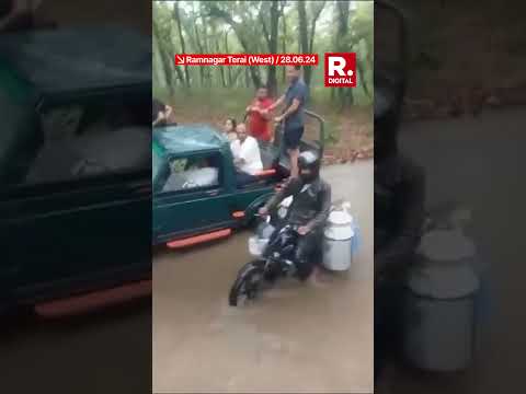 Tourists Get Trapped Inside Ramnagar's Forest Due to Heavy Rains | Watch