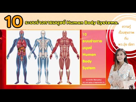 10ระบบร่างกายมนุษย์-สรุปเข้าใจ
