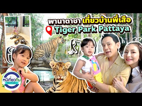 นาตาชาจับเสือ!TigerParkPatt