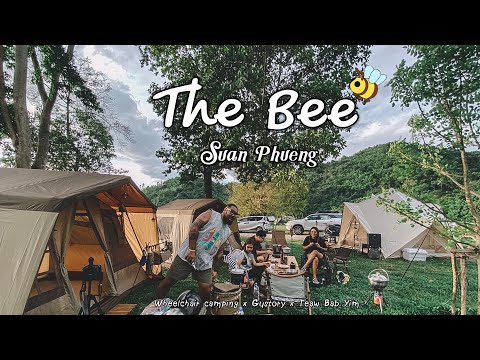 กางเต้นท์-The-Bee-สวนผึ้งราชบุ กางเต้นท์-The-Bee-สวนผึ้งราชบุ