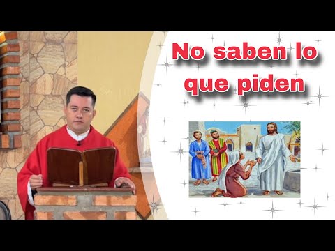 MISA DE HOY Jueves 25 de Julio  de 2024- Padre Ricardo Prato