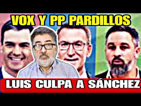 LUIS DEL PINO ACUSA A PEDRO SÁNCHEZ, PP Y VOX HAN QUEDADO DE PARDILLOS, TIENEN QUE ESPABILAR