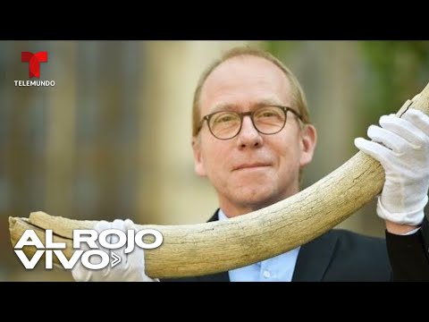 Colmillo de mamut es hallado bajo tierra en Dakota del Norte