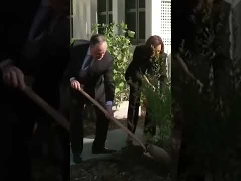 Kamala Harris RIDICULED for shovel skills