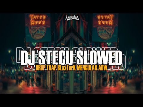 DJ STECU STECU SLOWED SOUND VIRAL TIKTOK 2025