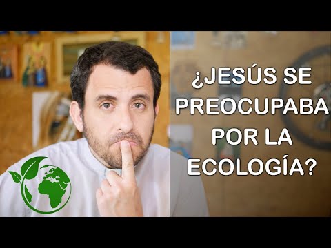 ¿Jesús se preocupaba por la ecología? - Homilía del domingo 22 del tiempo ordinario, ciclo B