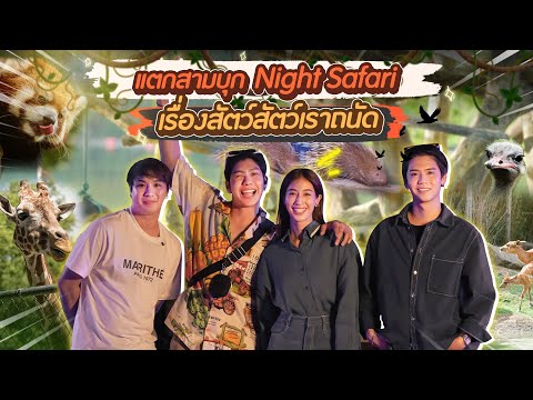 บุกNightSafariดูสัตว์แต่ดั