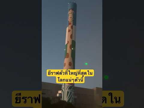 สารคดีshortsยีราฟตัวใหญ่ที่ส