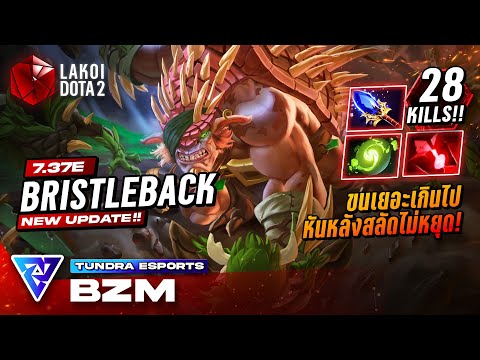 Lakoi DotA2 BristlebackMidโดยTundra.Bzmเม่นขนเยอะยาวเร็วหลังหนาสลัดออกแล