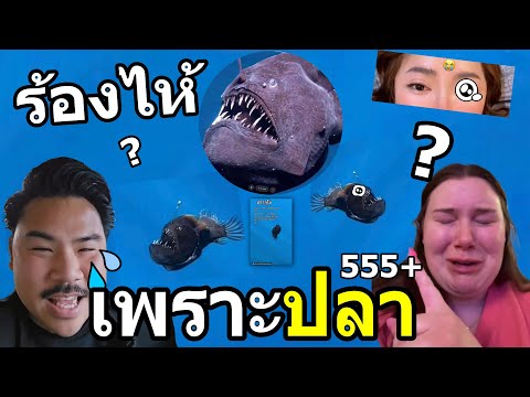 [ดราม่าร้องไห้สุดฮา]กระแสปลาน