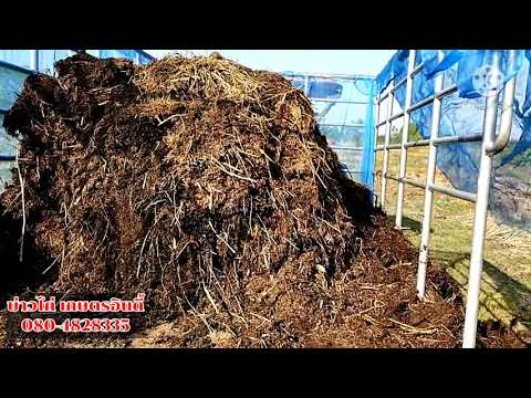 การทำเกษตรอินทรีย์-ต้องเตรียมด การทำเกษตรอินทรีย์-ต้องเตรียมด
