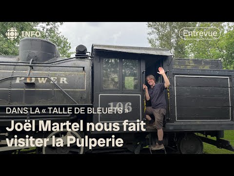 Dans la talle de bleuets de Joël Martel