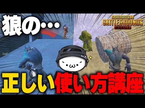 【PUBGモバイル】狼の正しい使用方法を伝授します…まさかの方法に全員が大爆笑www【マイマビ/切り抜き】【PUBGMOBILE】