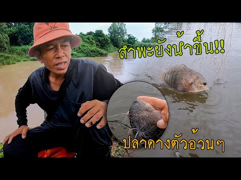ยามดางยามมอง!!-ได้ป่นน้อยครับพ ยามดางยามมอง!!-ได้ป่นน้อยครับพ
