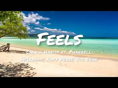 Calvin Hariss - Feels ft. Pharrell Williams, Katy Perry, Big Sean (Lyrics)