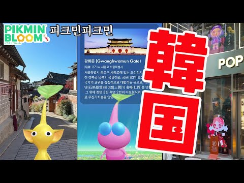 【피크민 블룸】韓国でピクミンブルームやってきた！【ピクミンブルーム/PikminBloom】