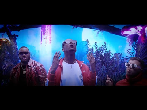 Ninho - Elle m'a dit ft Hamza (Clip Officiel) by DJ Quick
