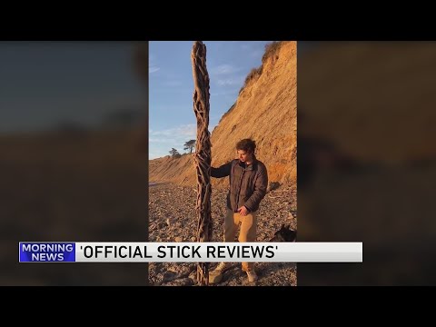 'Official Stick Reviews'