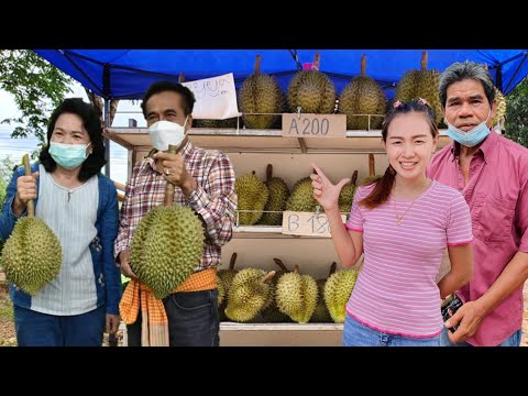 ทุเรียนบึงกาฬเริ่มจำหน่ายแล้ว- ทุเรียนบึงกาฬเริ่มจำหน่ายแล้ว-