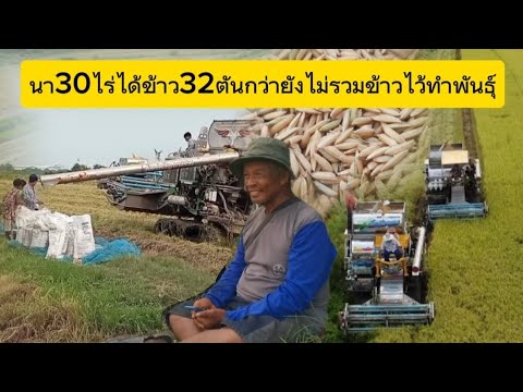 นาลุงชุมพร​นา30ไร่ได้ข้าว32ตั