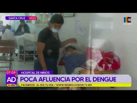 Poca afluencia por el dengue en el Hospital de Niños