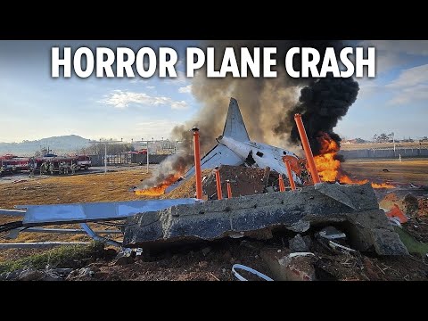 Tragedy as jet with 181 onboard crashes into wall at South Korean airport