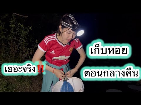 พายุฝนเข้าเต็มๆออกเก็บหอยตอนก