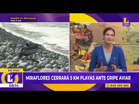 Restricciones tras cierre de playa en Miraflores por gripe aviar