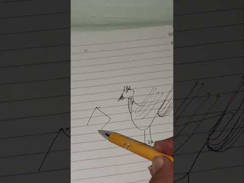 Draw a Duck & Star