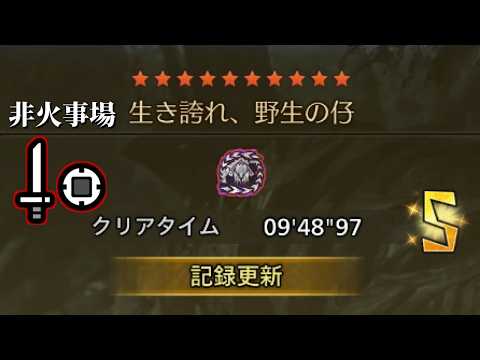 【MHWilds】フリチャレ 歴戦王アルシュベルド 片手剣 09:48 非火事場 / Sword and Shield TA【モンハンワイルズ】