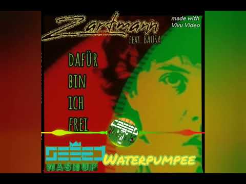 ZARTMANN vs SEEED - Dafür bin ich frei (waterpumpee riddim) Reggae - Mashup