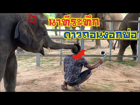 🔥ดาวแกล้งพ่อเพราะ..-|-ปีใหม่&ป 🔥ดาวแกล้งพ่อเพราะ..-|-ปีใหม่&ป