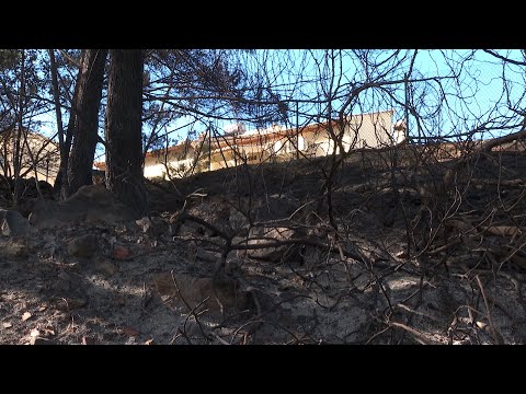 Ador (Valencia) vuelve a la normalidad tras el susto del incendio forestal de Montitxelvo
