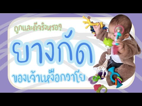 ยางกัดโซฟีอังจูเห็ดราคาหลัก