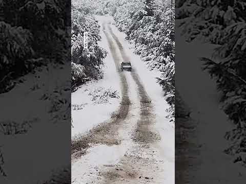 ? Un Renault 12 desafió la nieve y se volvió viral