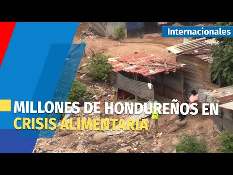 Casi 2,4 millones de hondureños en crisis alimentaria por covid y huracanes