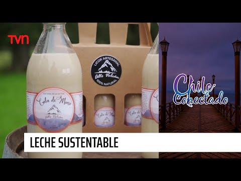 Leche sustentable | Chile Conectado
