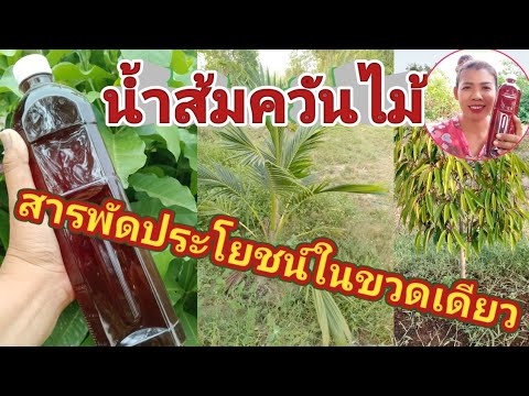 น้ำส้มควันไม้สารพัดประโยชน์ใน