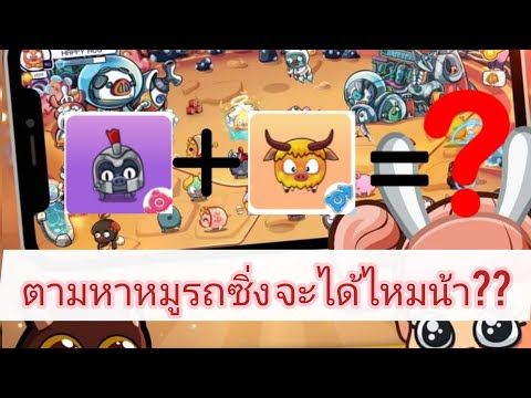 happy-hog-|-ตามหาหมูรถซิ่ง-จะม happy-hog-|-ตามหาหมูรถซิ่ง-จะม