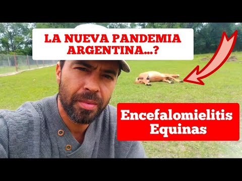 La nueva PANDEMIA ARGENTINA..?? ENCEFALOMIELITIS EQUINA.  QUE ESTA PASANDO??