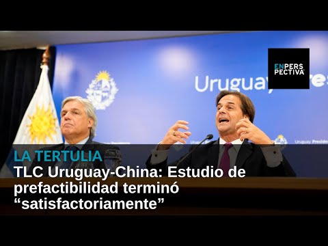 TLC Uruguay-China: Estudio de prefactibilidad terminó “satisfactoriamente”