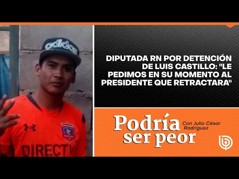 Diputada RN por detención de Luis Castillo: Le pedimos en su momento al presidente que retractara