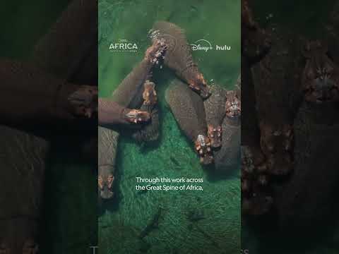 What is the Great Spine of Africa? #AfricaEarthsWildHome