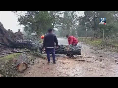 24 JUN 2024 Lluvias dieron tregua y autoridades llaman a tomar medidas preventivas